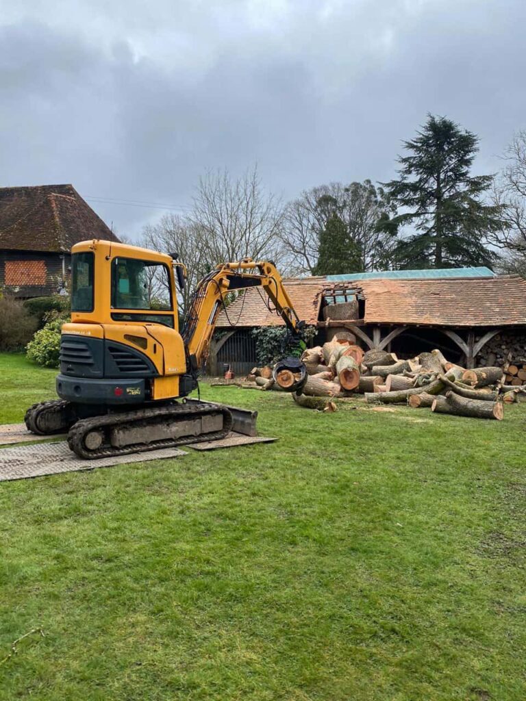 This is a photo of a tree which has grown through the roof of a barn that is being cut down and removed. There is a digger that is removing sections of the tree as well. Cranfield Tree Surgeons