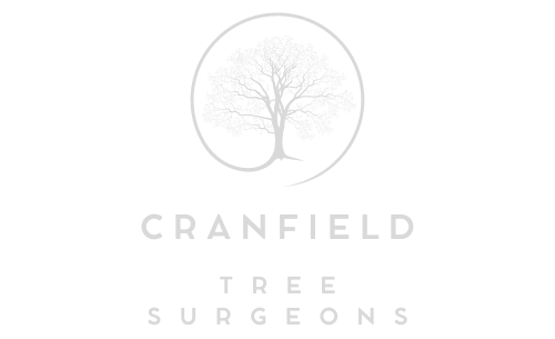 Cranfield Tree Surgeons